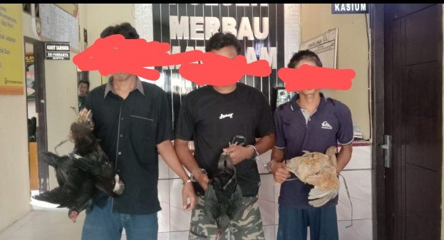 Polsek Merbau Mataram Ringkus Tiga Pelaku Curat