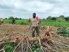 DPRD Lampung Gelar Paripurna Hasil Pansus Tata Niaga Singkong pada 7 Maret 2025