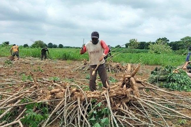 DPRD Lampung Gelar Paripurna Hasil Pansus Tata Niaga Singkong pada 7 Maret 2025