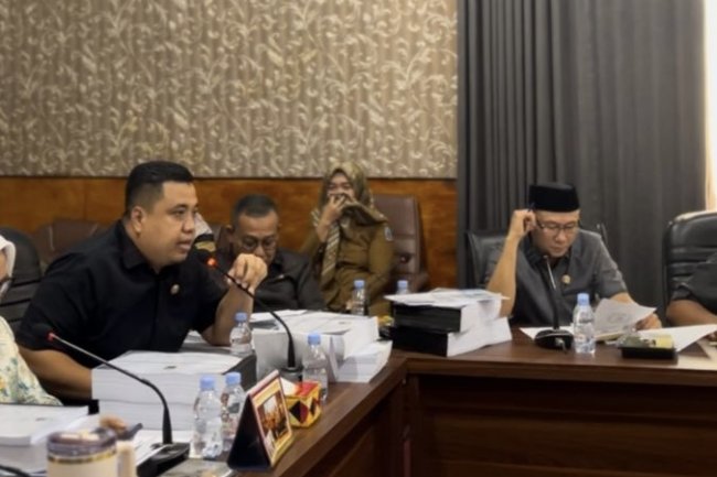 Wakil Ketua I DPRD Lampung Selatan Minta Dinas Kesehatan Tugaskan Dokter di Pulau Terpencil