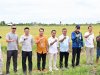 Padi Biosalin, Inovasi Cerdas Ubah Tambak Asin Jadi Sawah Produktif di Lampung Selatan